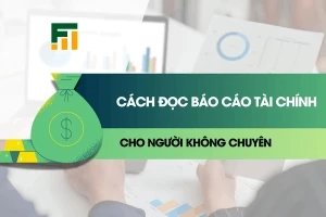 cach-doc-bao-cao-tai-chinh-cho-nguoi-ko-chuyen
