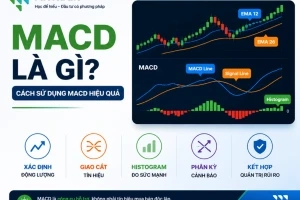 MACD là gì? Cách sử dụng MACD hiệu quả trong giao dịch